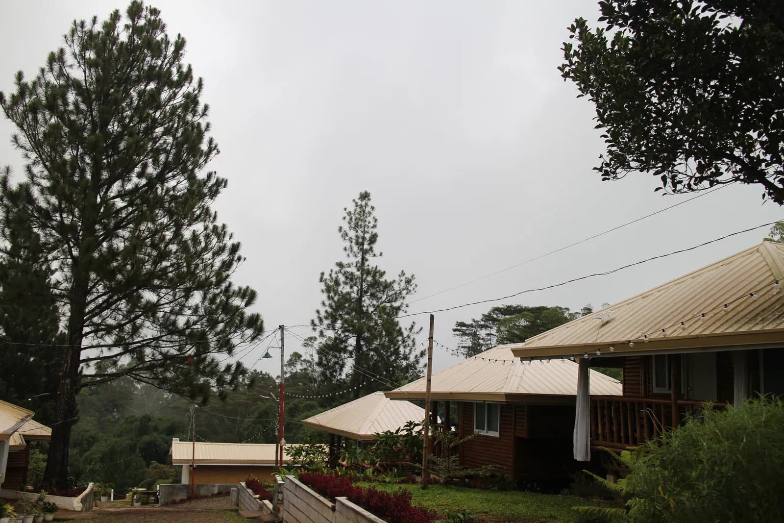 Balai Dahilayan Environment Image 2